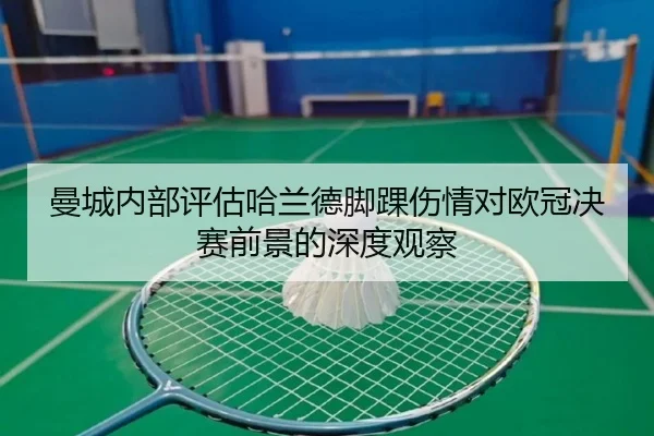曼城内部评估哈兰德脚踝伤情对欧冠决赛前景的深度观察